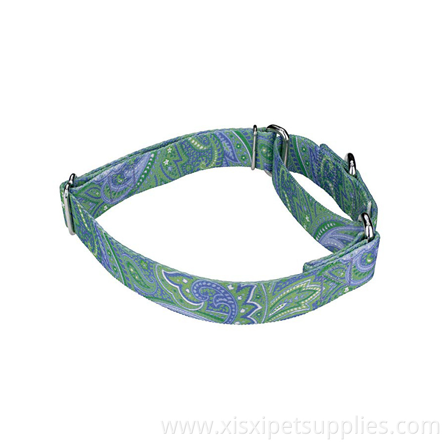 best selling Sublimation Printing Martingale Dog Collar